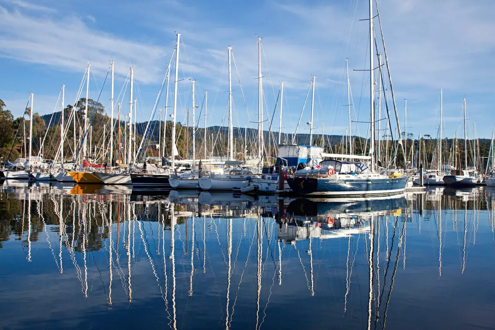 Oyster Cove Marina | Permanent Berthing