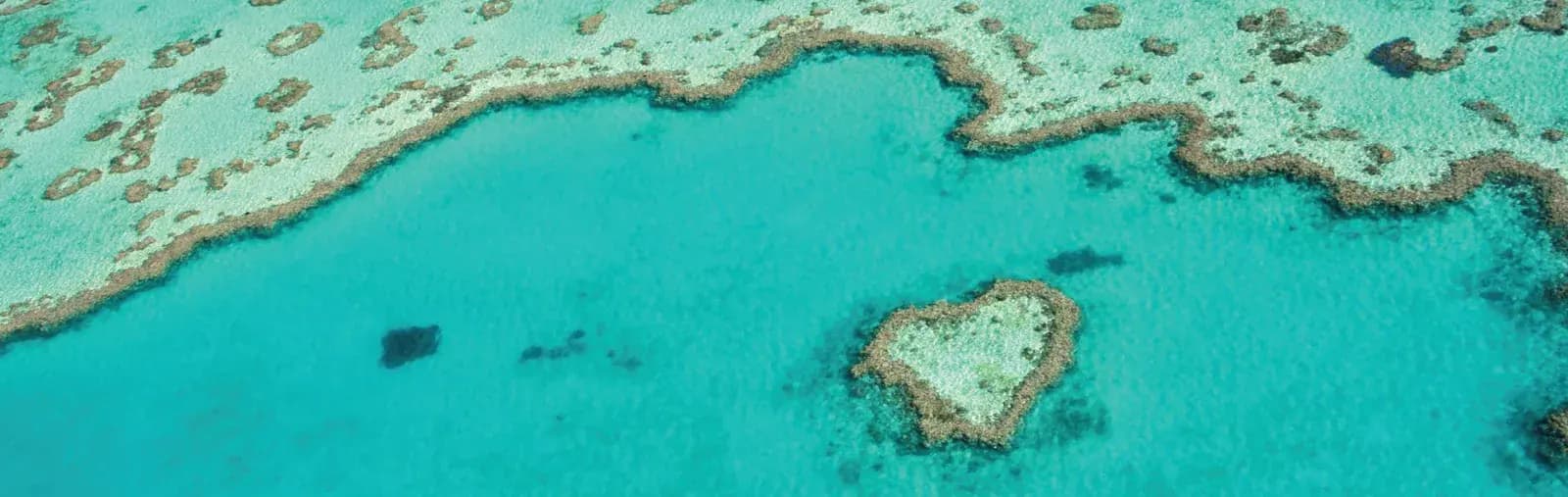 Heart Reef