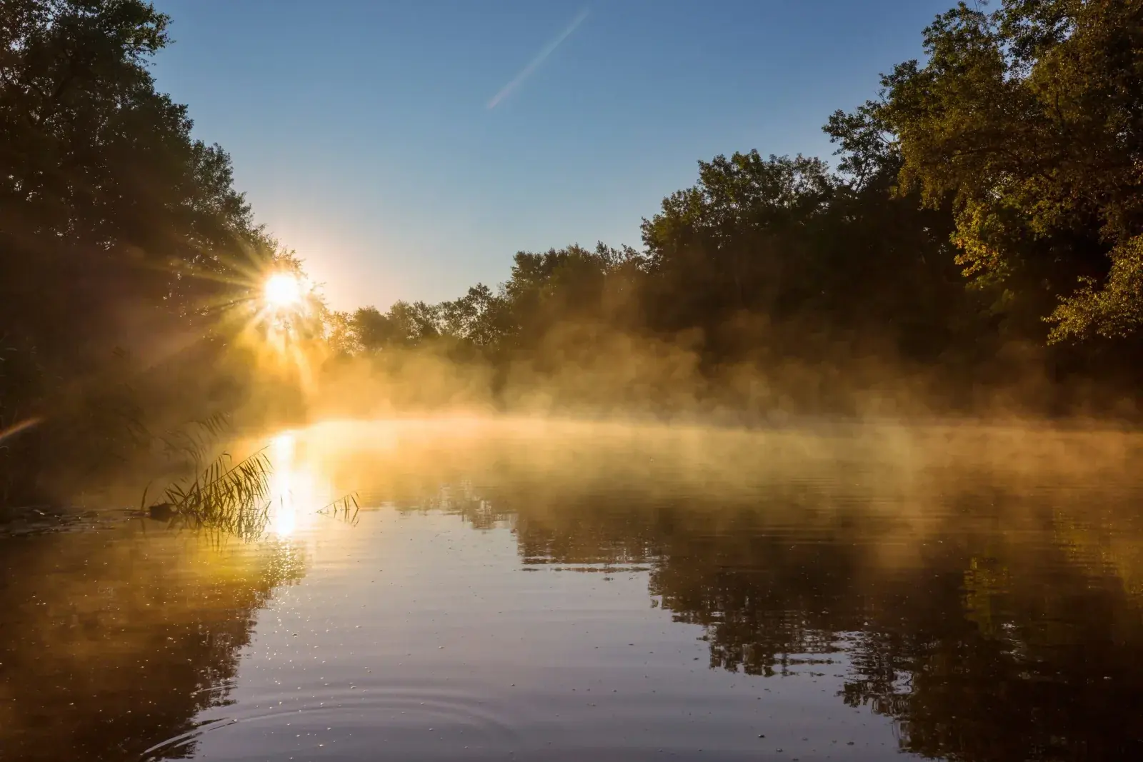 Morning sunrise over a calm river with mist rising, surrounded by trees on both sides.